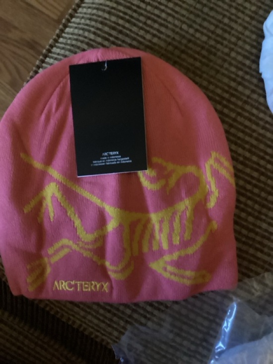 Arc'teryx Other - Arc'teryx Logo Pack — Clearwith Black Print